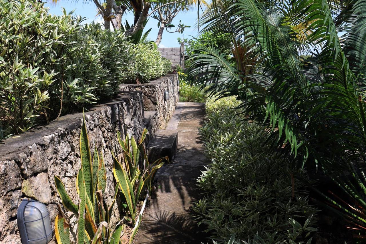 Sunny Point Penida Hotel Ped Exterior foto